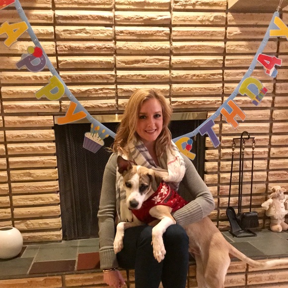 Meet your Posher, Pippa - Picture 5 of 6